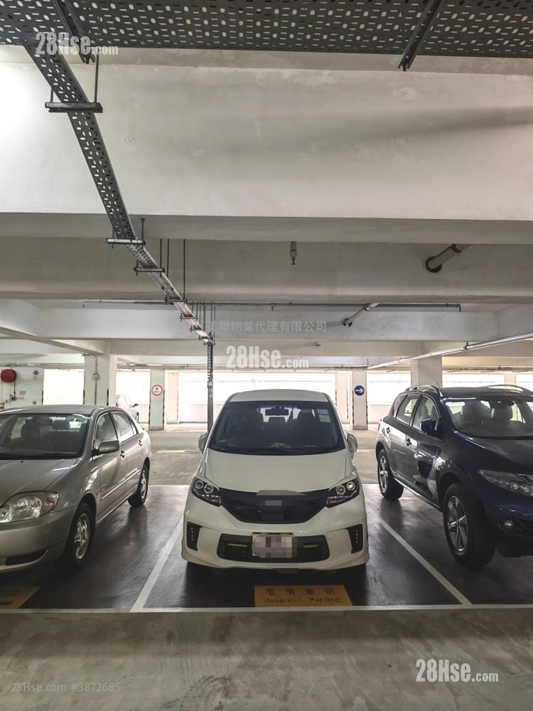 Tung Chung Crescent Rental