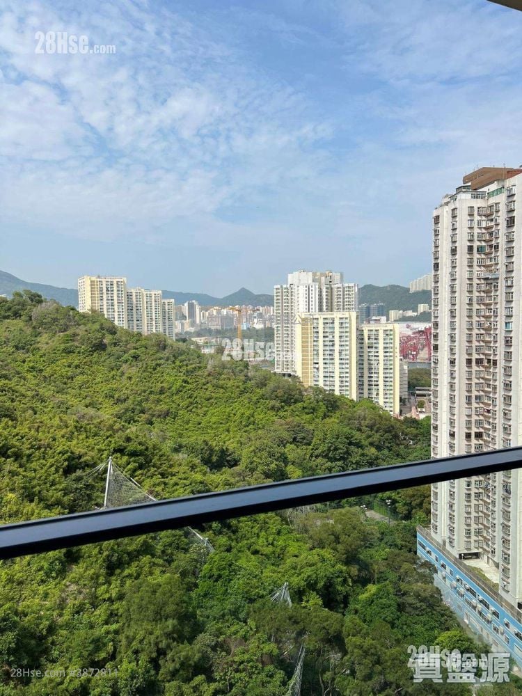 明翘汇 租盘 1 房 , 1 浴室 299 平方尺
