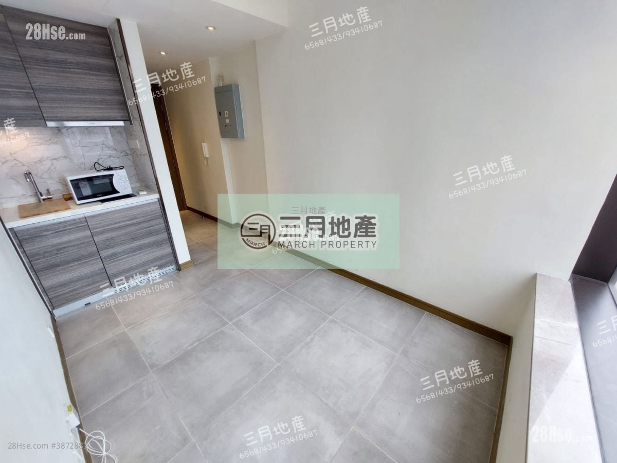 Ava61 Rental Studio , 1 Bathroom 150 ft²