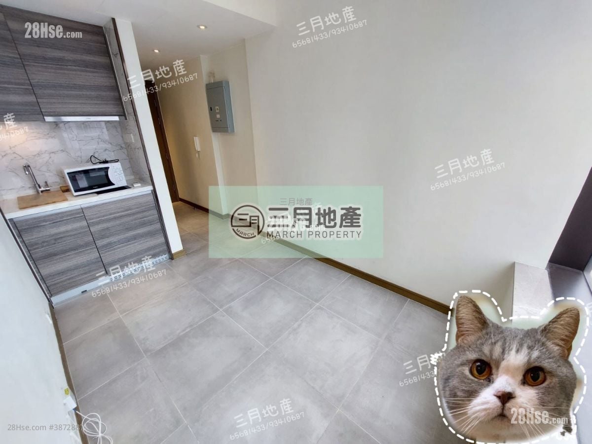 Ava61 Rental Studio , 1 Bathroom 150 ft²