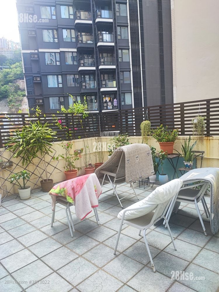 8 Shan Kwong Road Rental 2 Bedrooms , 1 Bathroom 509 ft²