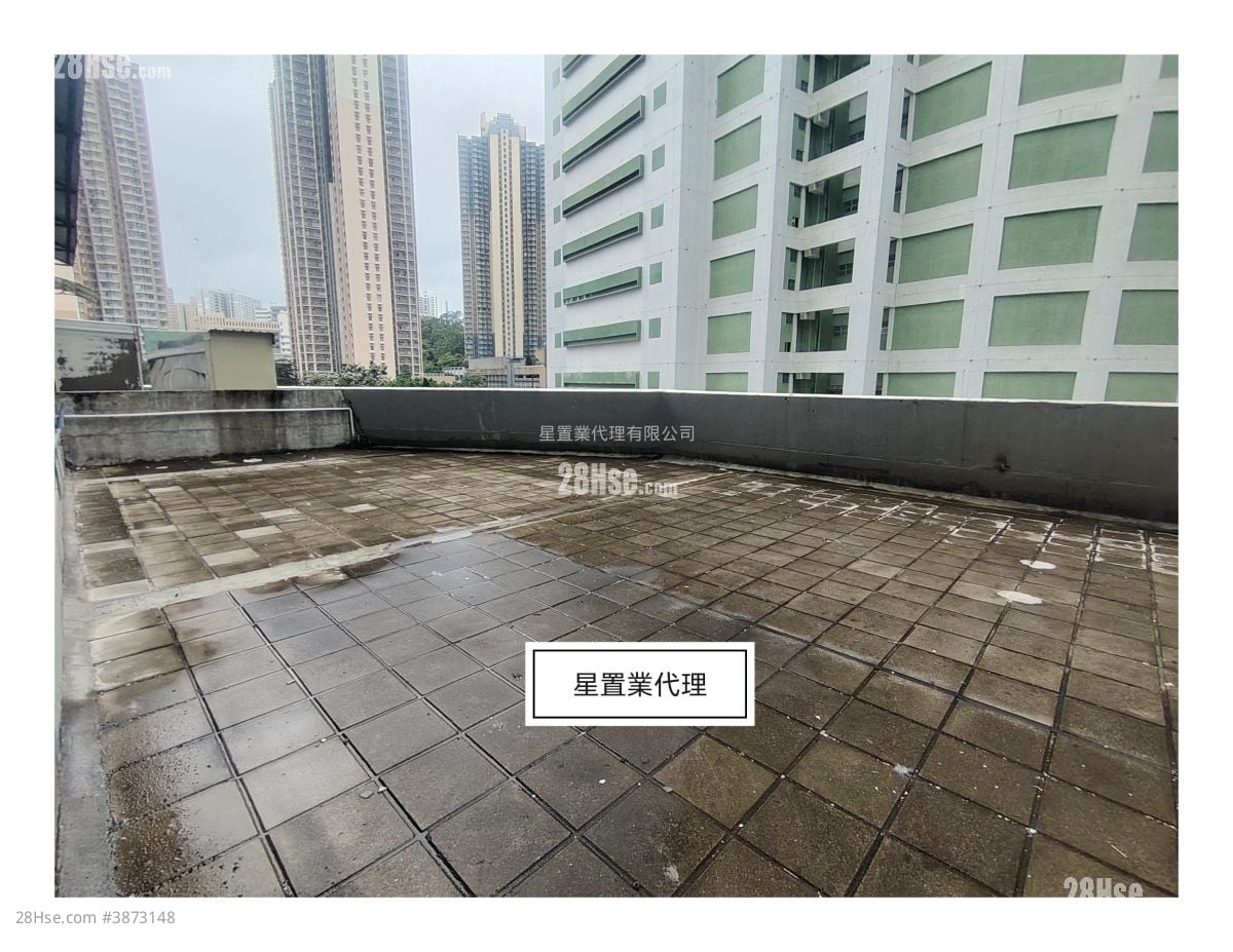 葵涌 租盤