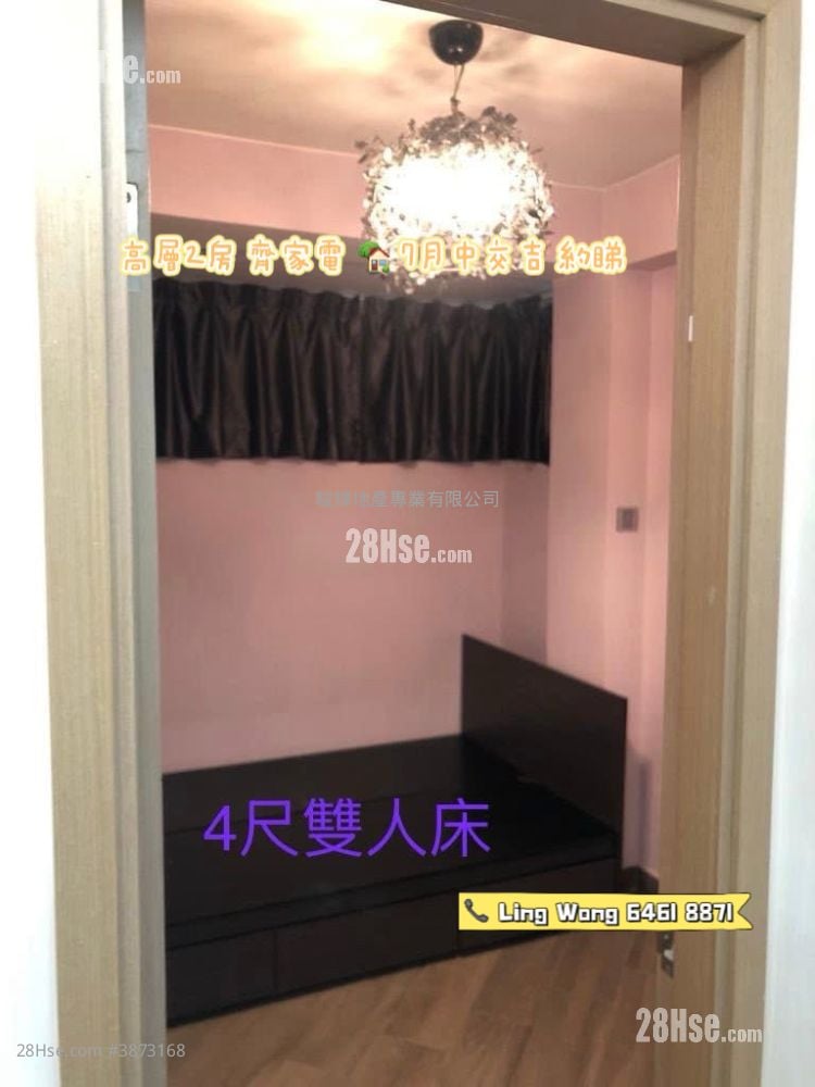 美居中心 租盘 2 房 , 1 浴室 299 平方尺
