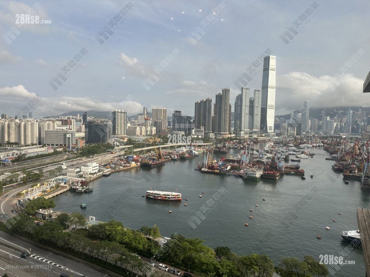 维港湾 租盘 911 平方尺