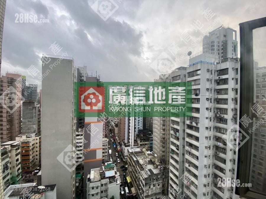 Fullic Court Sell Studio , 1 Bathroom 197 ft²