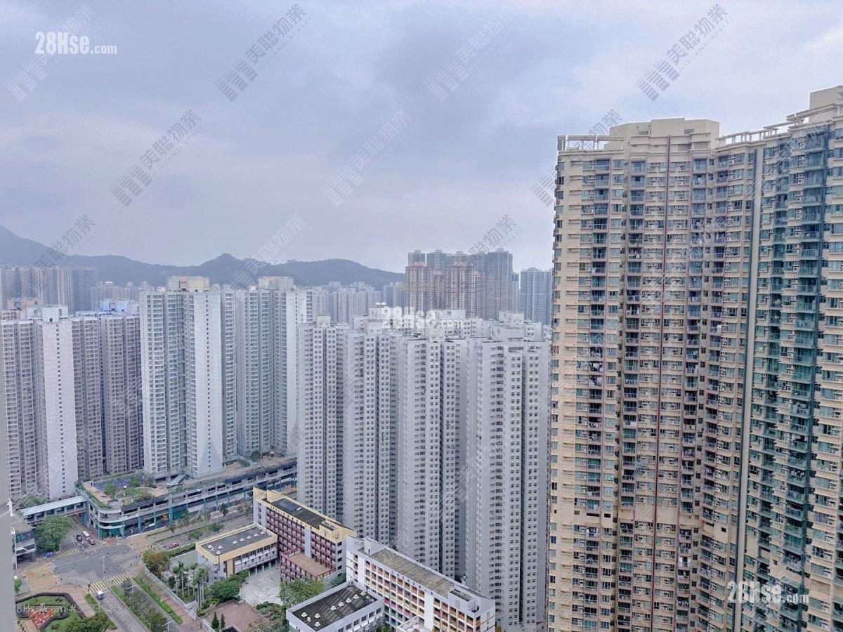 The Wings Rental 2 Bedrooms , 1 Bathroom 538 ft²