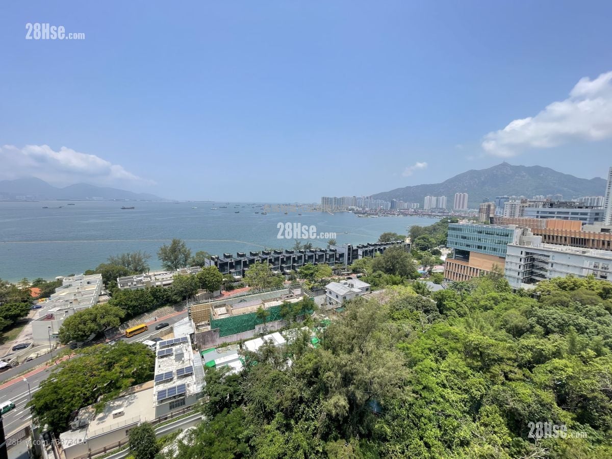 黄金海湾 租盘 2 房 , 1 浴室 427 平方尺