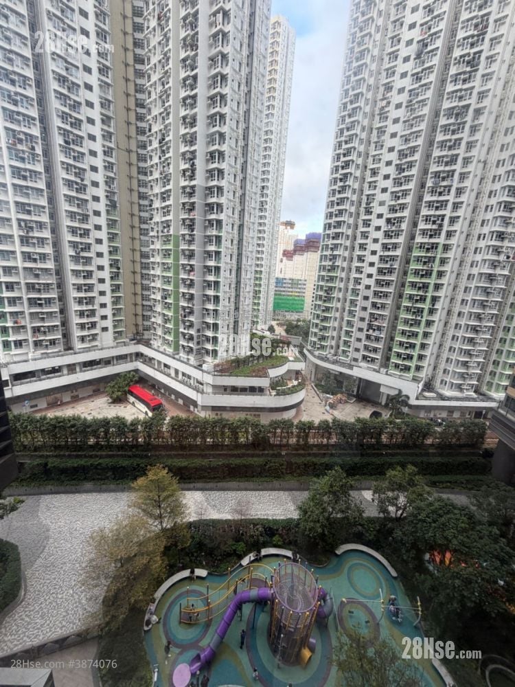 Novo Land Sell 1 Bedroom 292 ft²