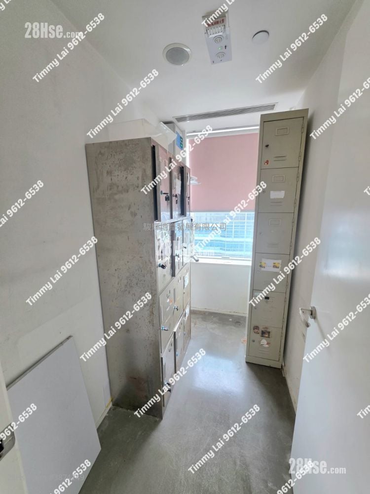 17-19 Ashley Road  Rental 5+ Bedrooms , 1 Toilet