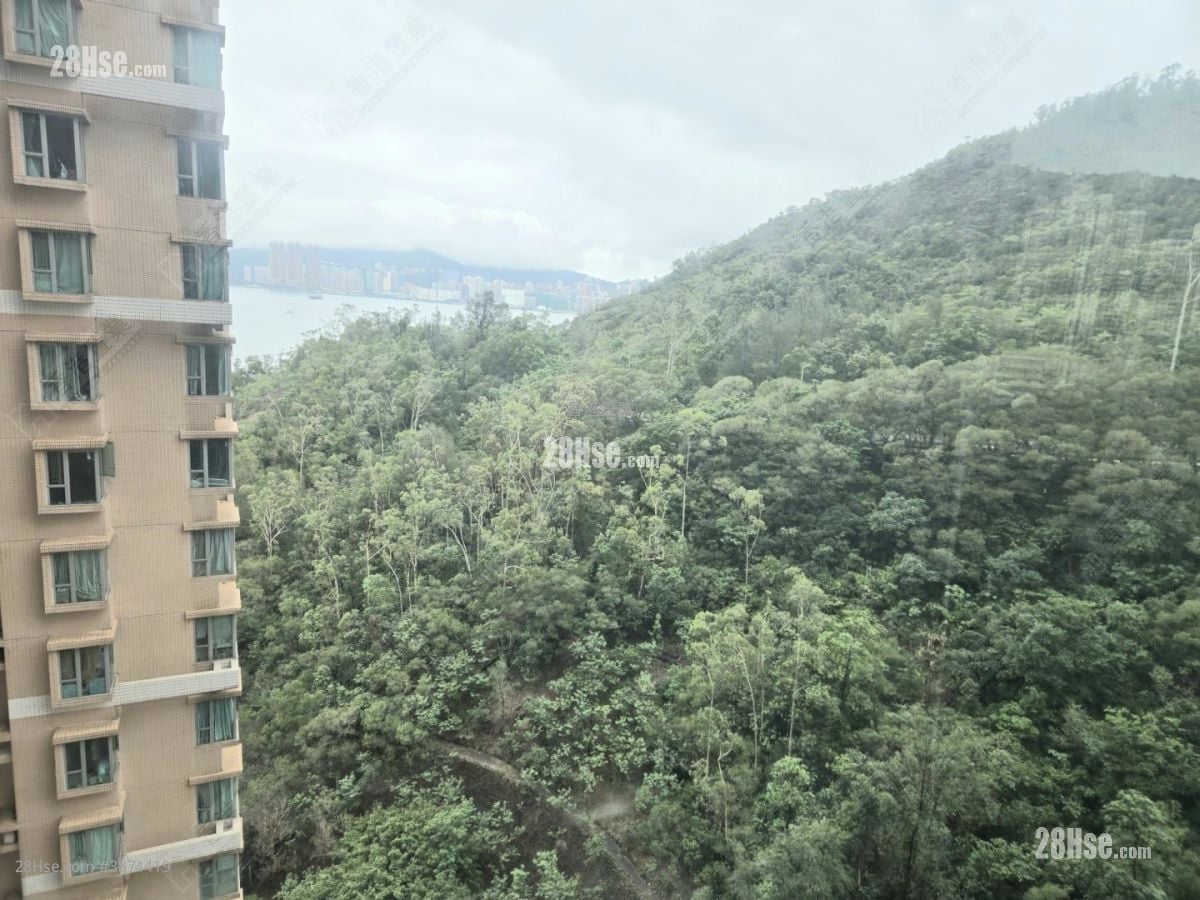 維景灣畔 租盤 2 房 , 1 浴室 511 平方呎