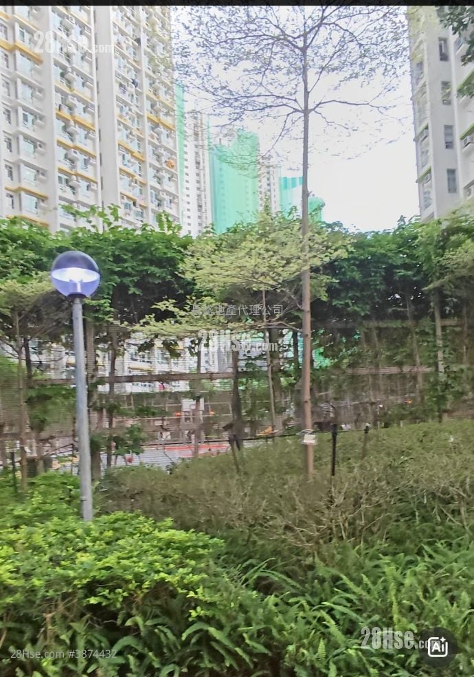 丽翠苑 售盘 1 房 , 1 浴室 184 平方尺