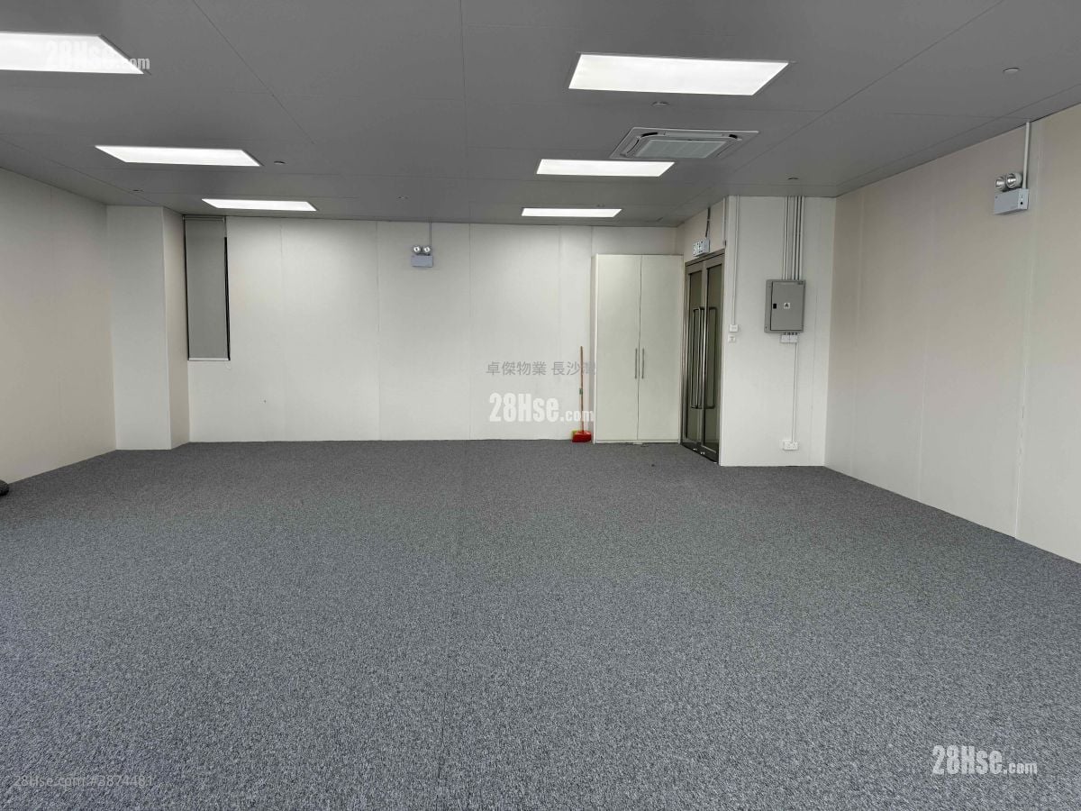 Ceo Tower Rental