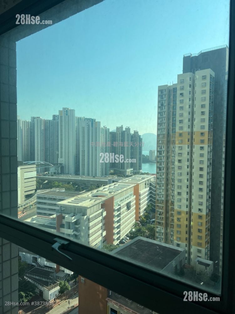 碧海蓝天 售盘 2 房 , 1 浴室 505 平方尺