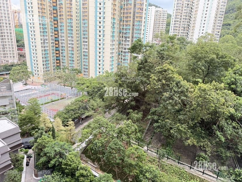 Chill Residence Rental 2 Bedrooms , 1 Bathroom 498 ft²