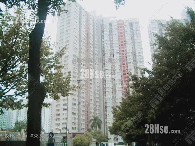 天平村 售盤 381 平方呎