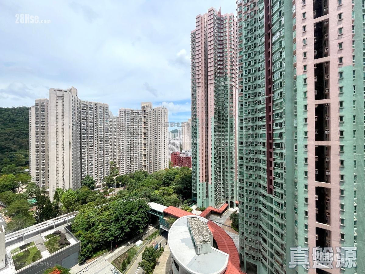 新都城 租盘 364 平方尺