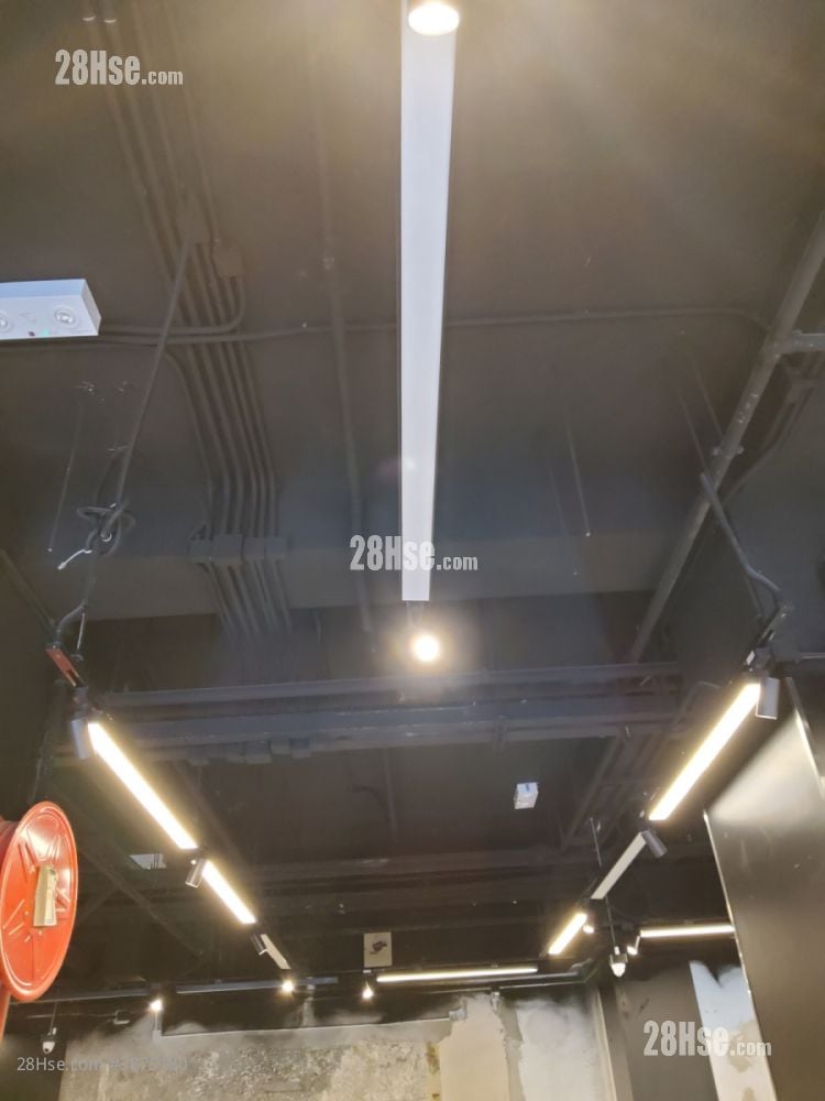 柏苑 租盘 2 厕所