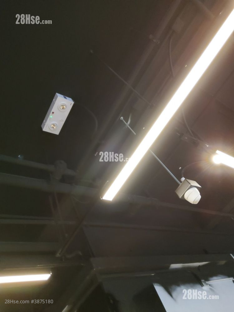 柏苑 租盘 2 厕所