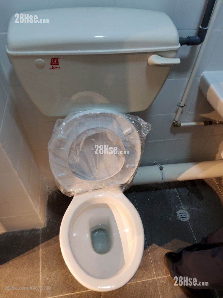 柏苑 租盘 2 厕所