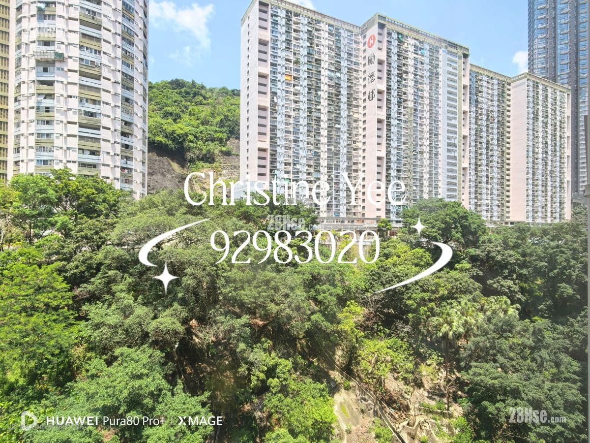 Wun Sha Tower Rental 2 Bedrooms , 1 Bathroom 527 ft²