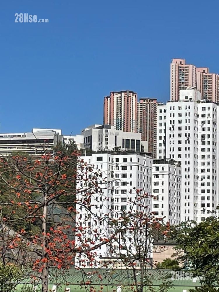Mei Foo Sun Chuen Sell 715 ft²