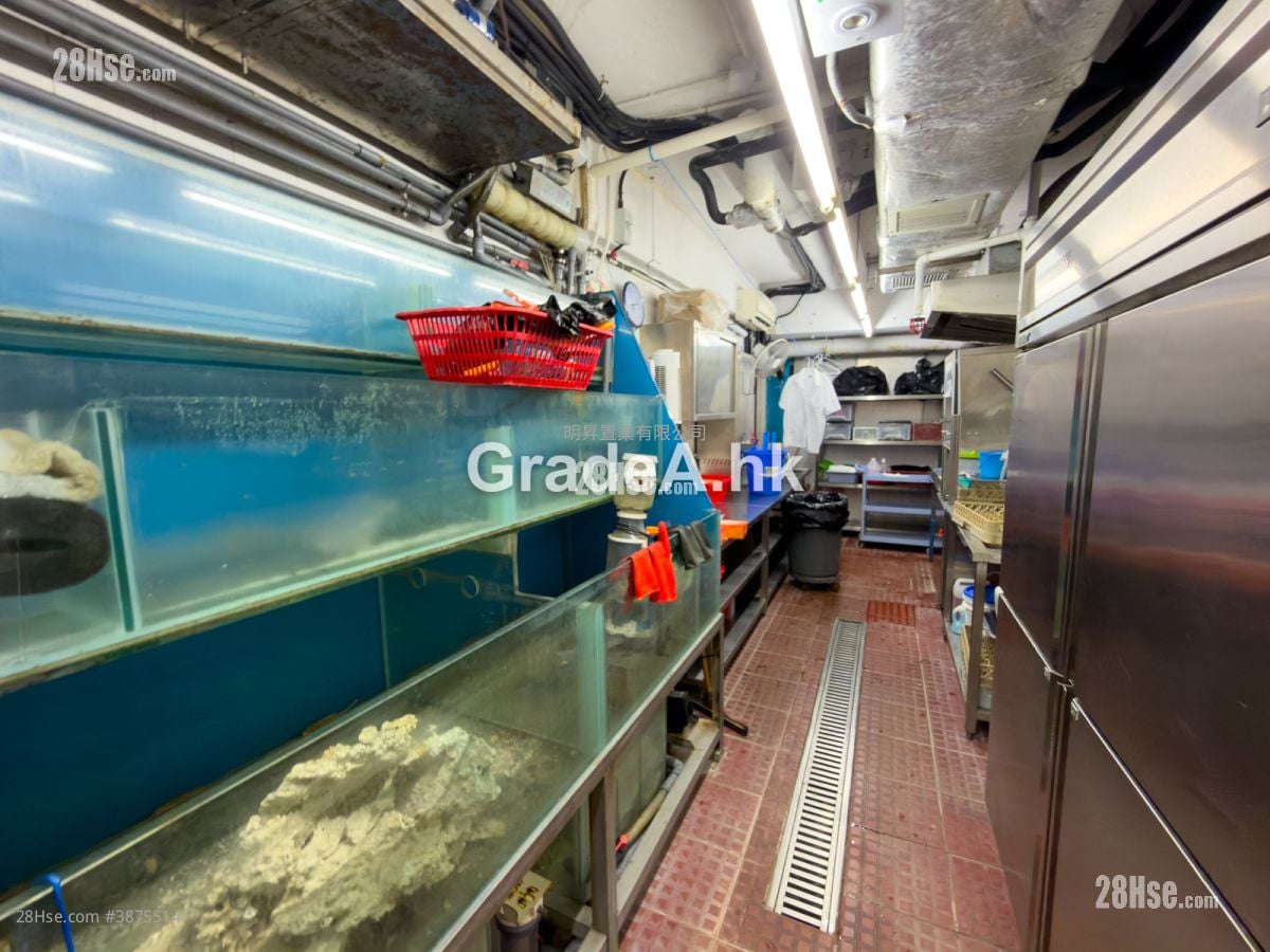 Sunshine Plaza Rental