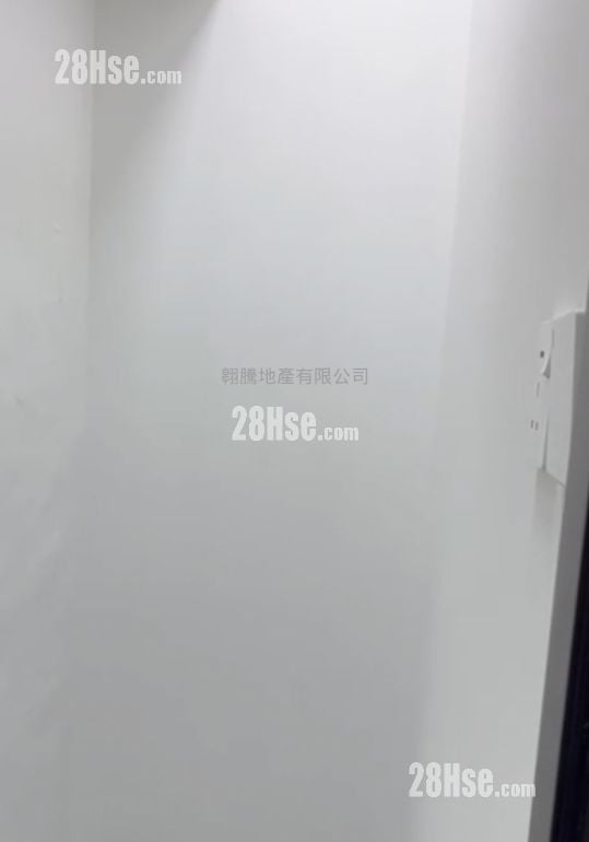 Camel Paint Building Rental