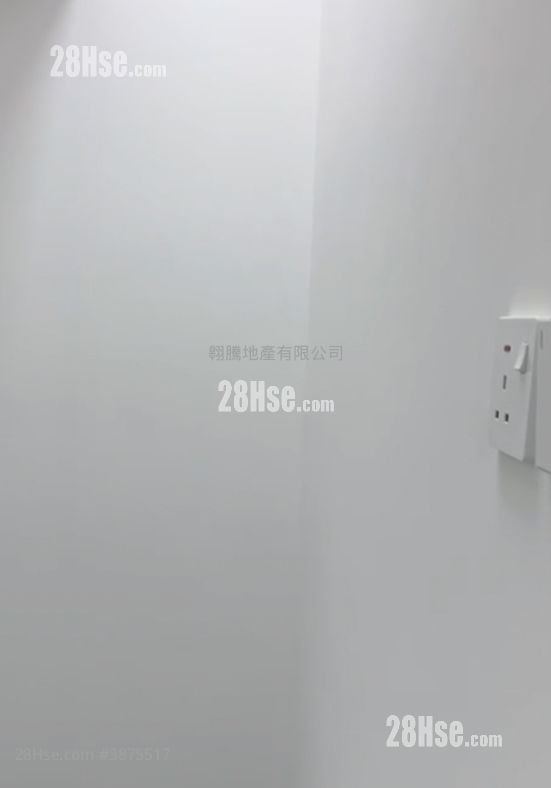Camel Paint Building Rental