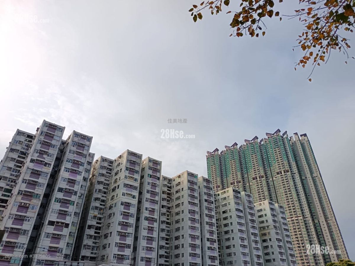 偉恆昌新村 租盤 2 房 , 1 浴室 372 平方呎