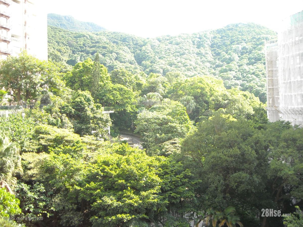 宝珊道1号 租盘 3 房 , 2 浴室 1,038 平方尺