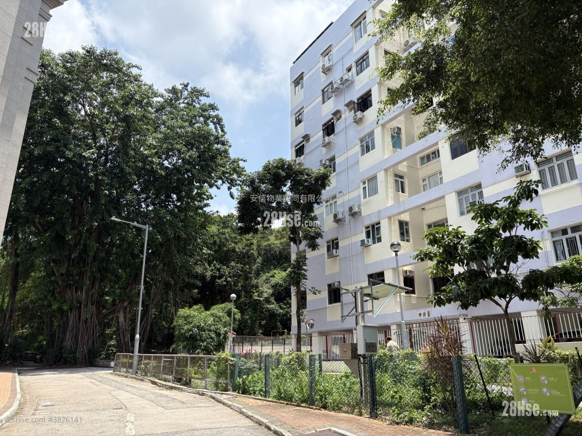 Violet Court Rental 4 Bedrooms , 2 Bathrooms 992 ft²