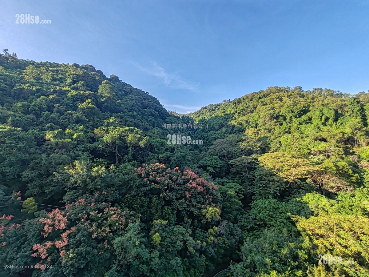 壹號雲頂 租盤 4 房 , 2 浴室 1,939 平方呎