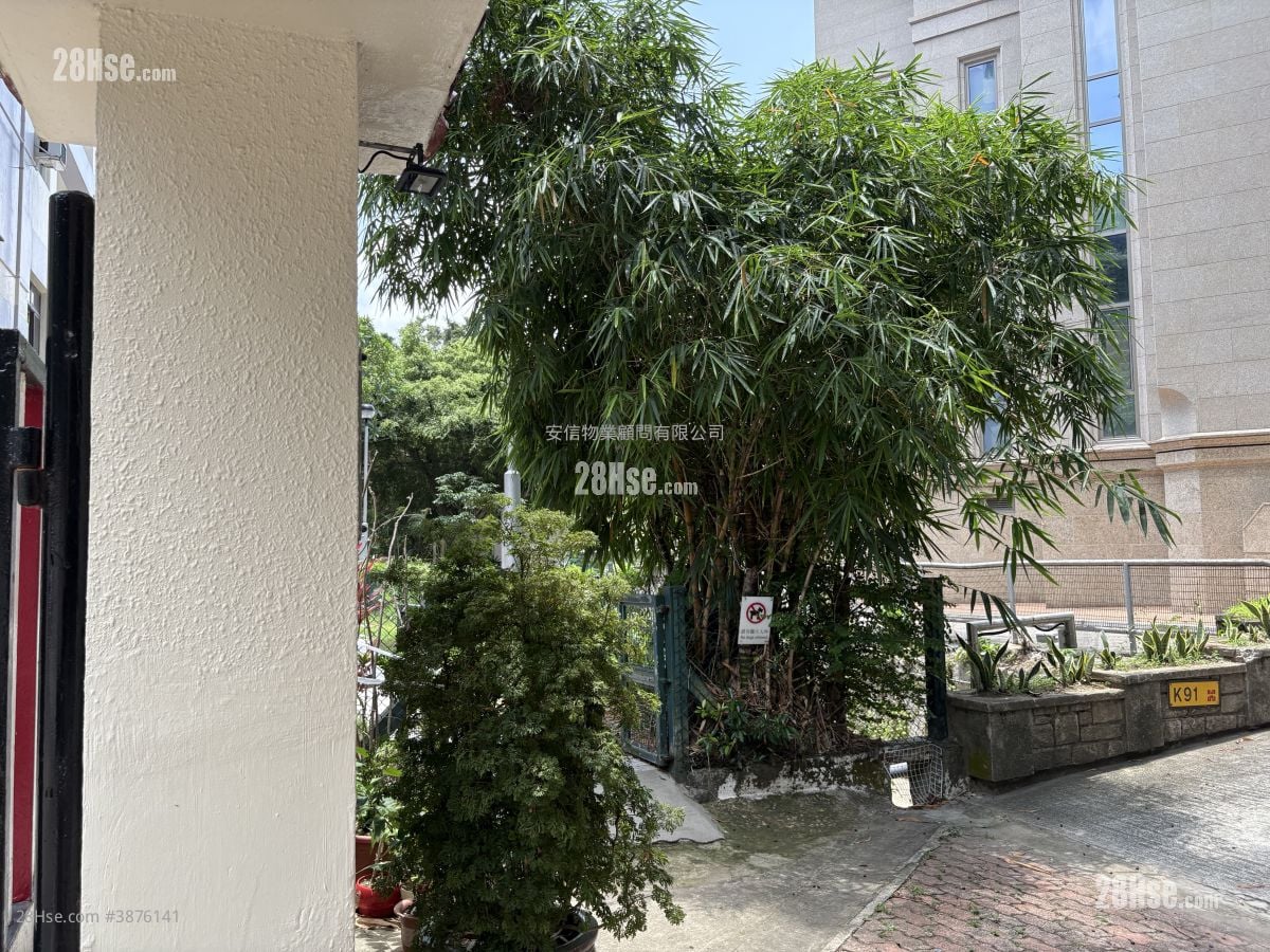 Violet Court Rental 4 Bedrooms , 2 Bathrooms 992 ft²