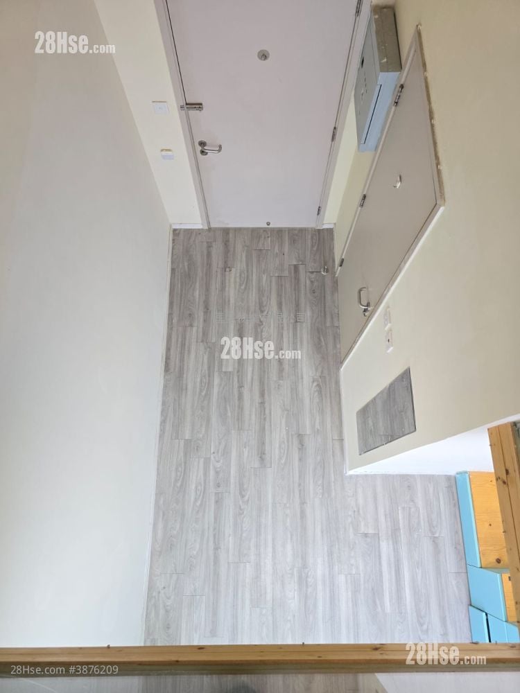 The Star Rental
