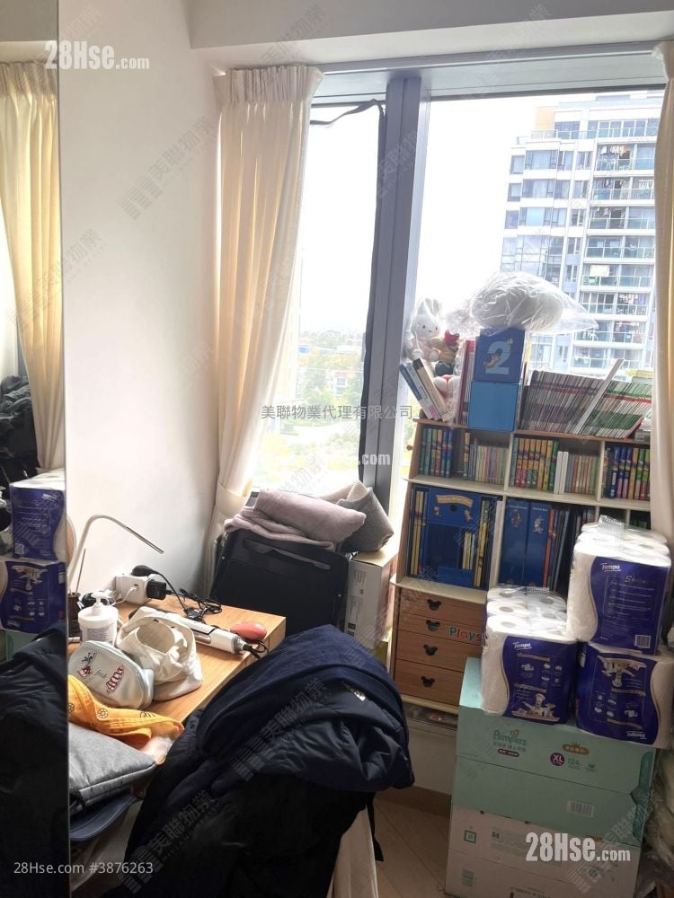 廳: 客廳