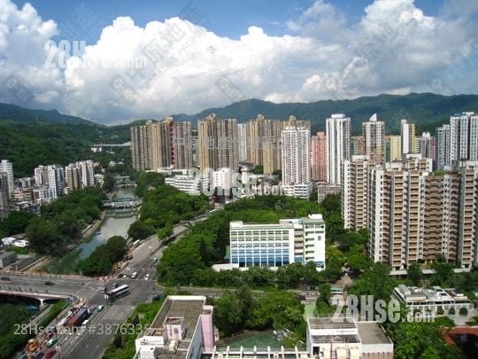 大埔中心 售盘 2 房 , 1 浴室 299 平方尺
