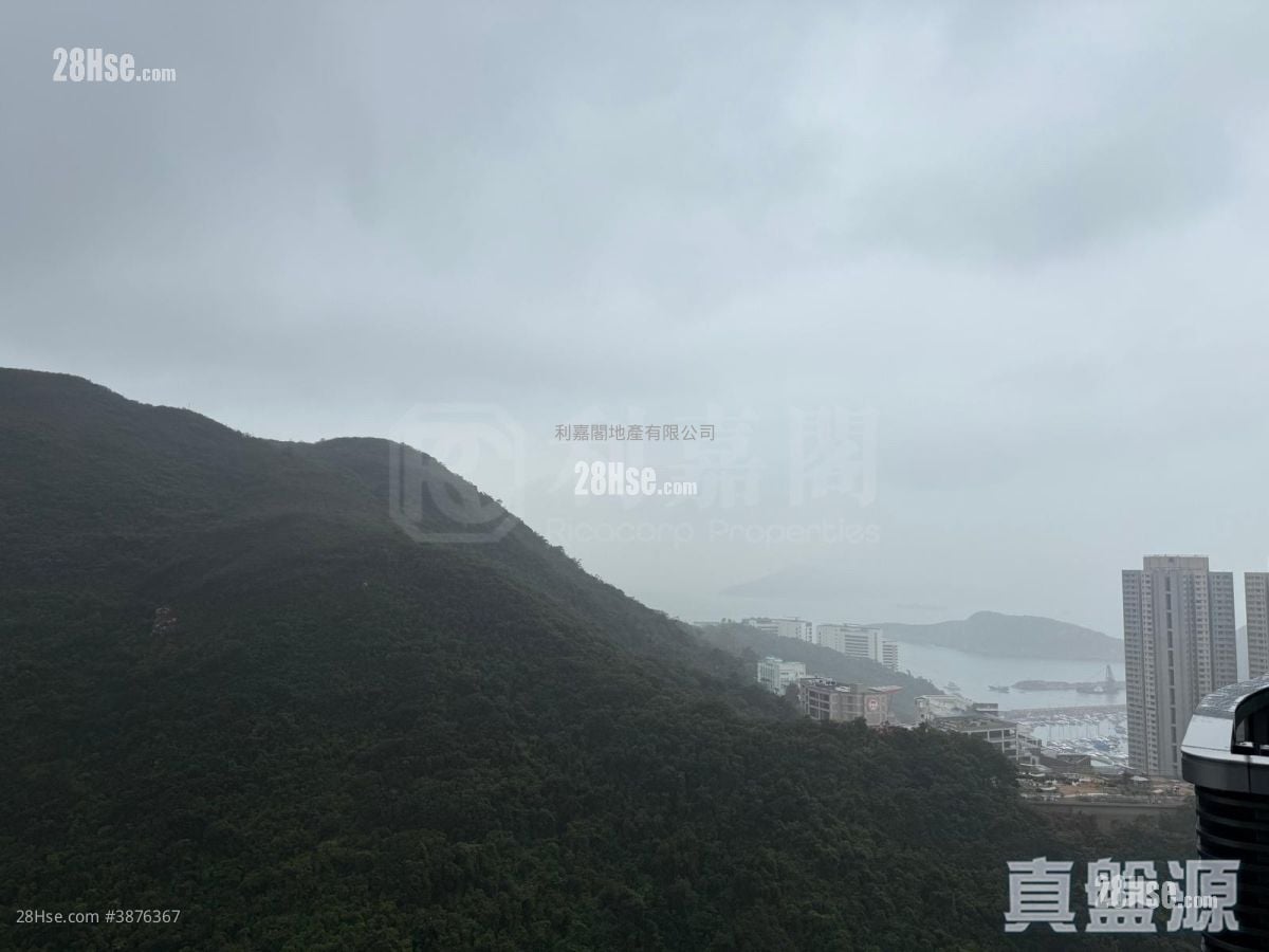 港岛南岸 租盘 915 平方尺