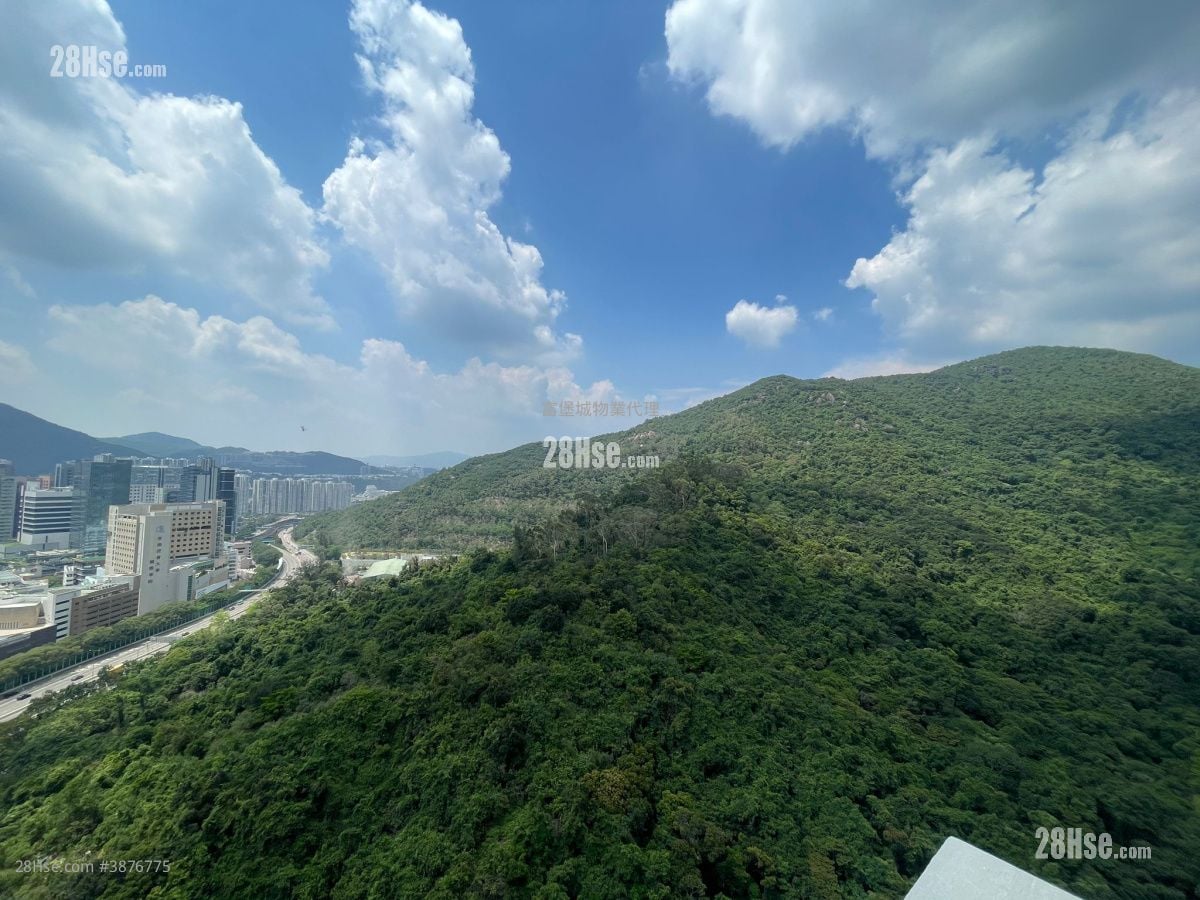 绿怡雅苑 售盘 1 房 , 1 浴室 420 平方尺