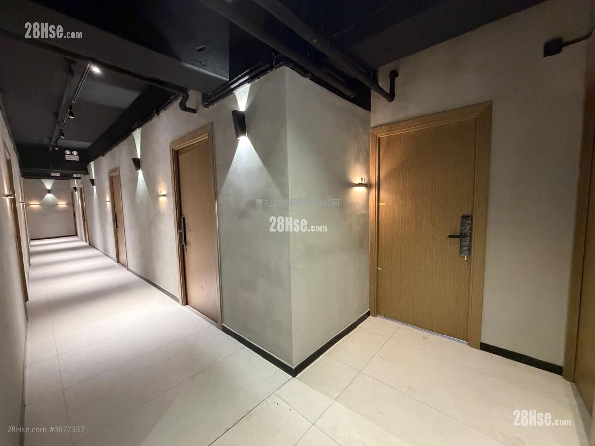 --- Rental 300 ft²