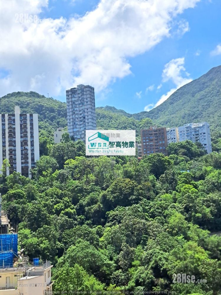 嘉辉花园 售盘 开放式间隔 , 1 浴室 281 平方尺