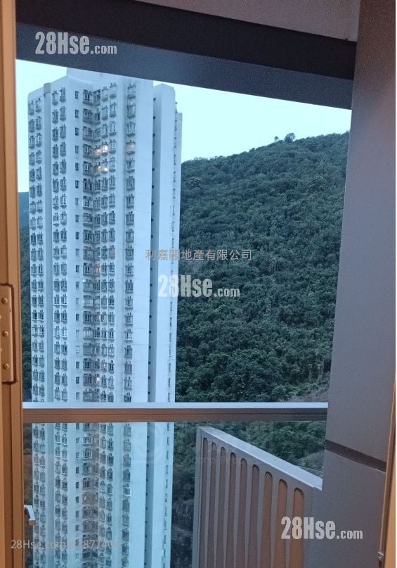 Finnie Sell 1 Bedroom 245 ft²