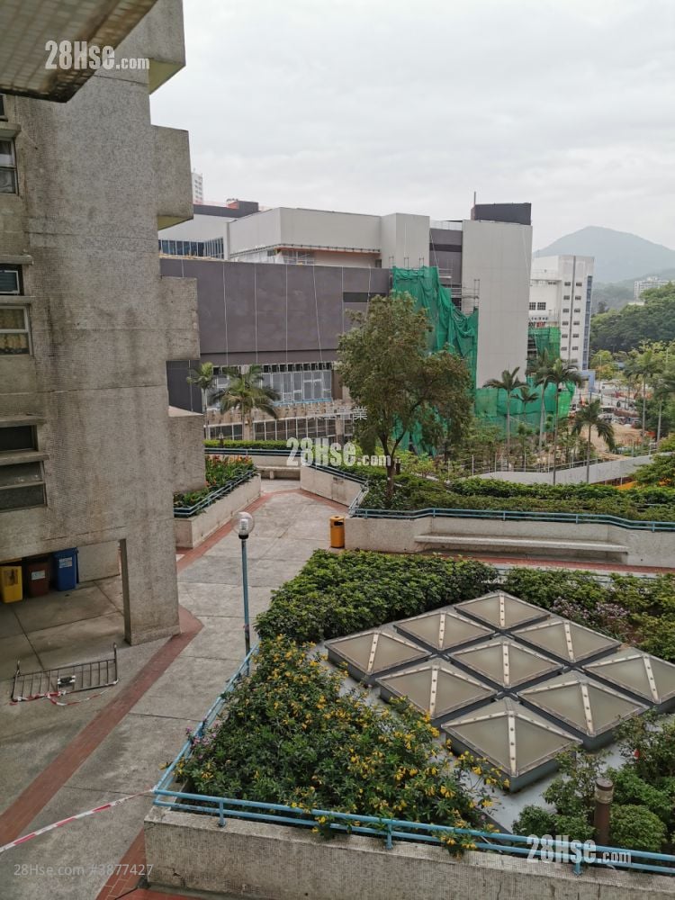 客廳景觀