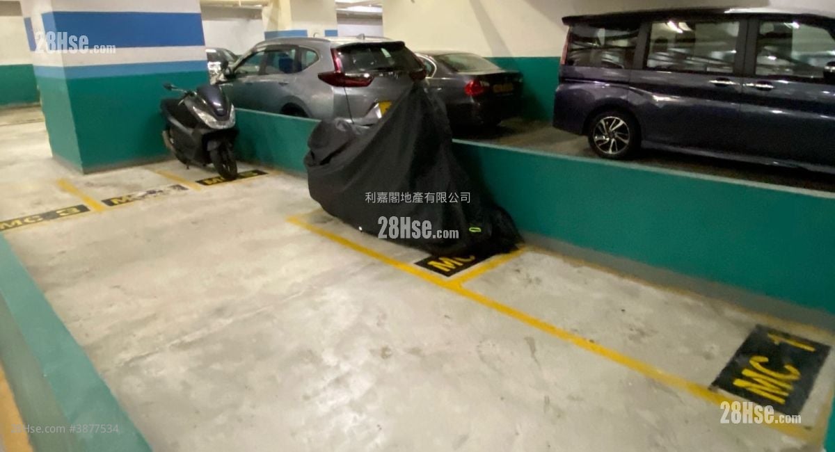 Metro City Rental