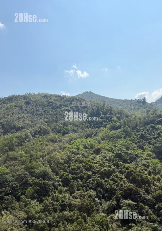 維景灣畔 租盤 2 房 , 1 浴室 515 平方呎