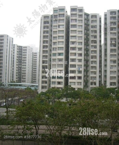 海濱南岸 售盤 3 房 590 平方呎
