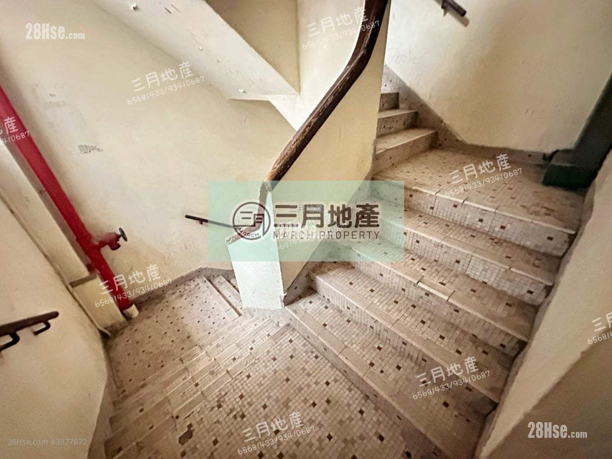 其它: 樓梯