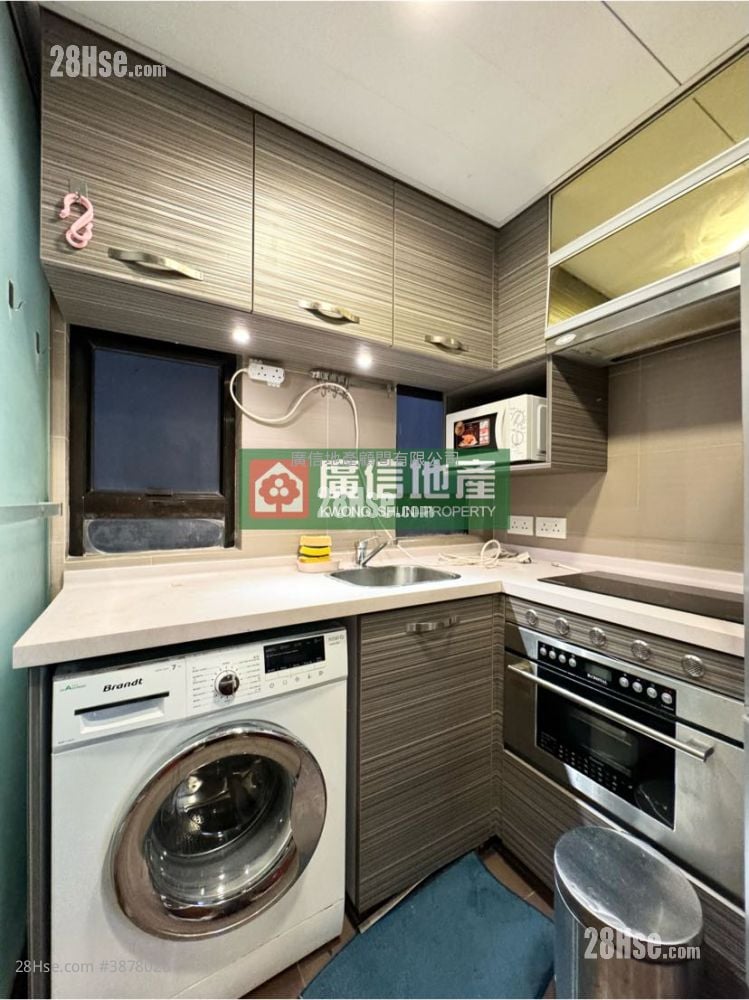 Cosmopolitan Estates Rental 1 Bedroom , 1 Bathroom 288 ft²