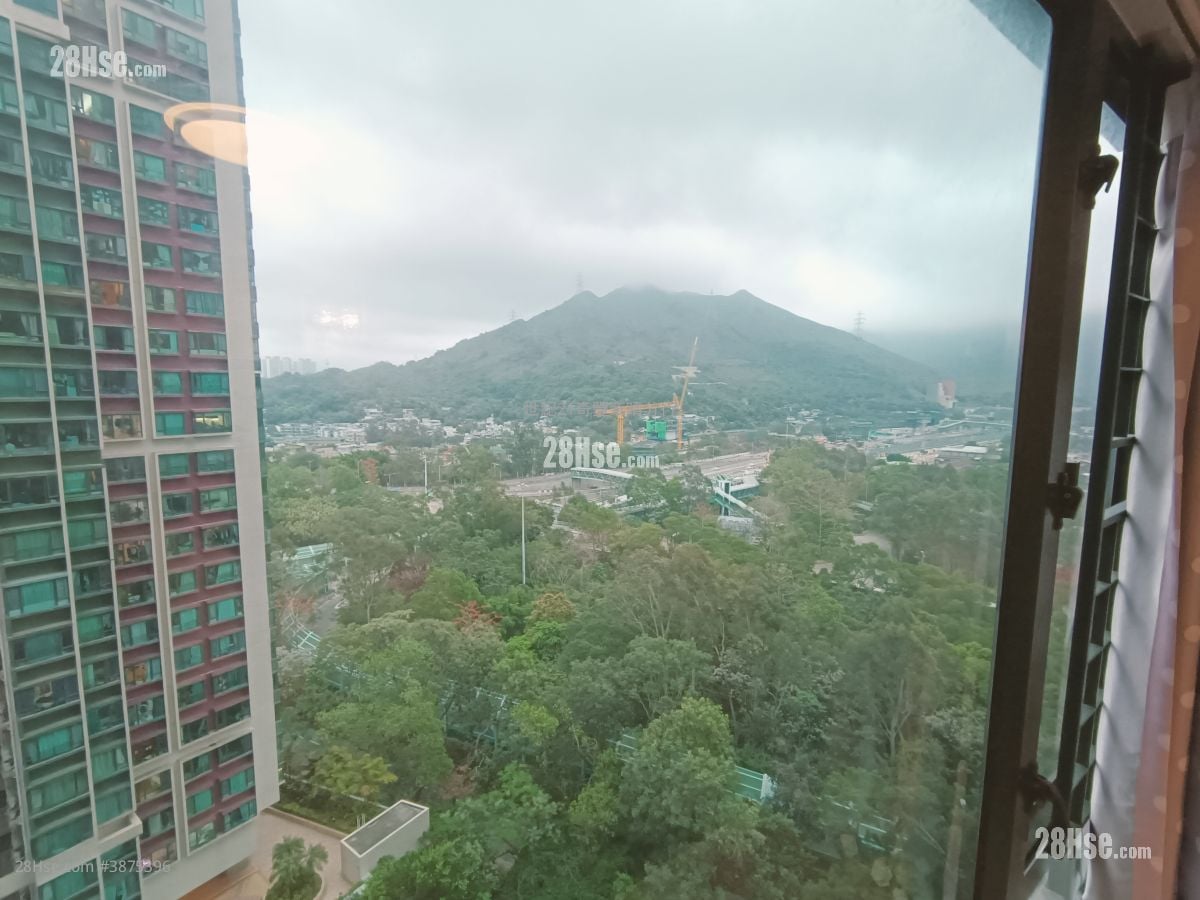 Dawning Views Rental 1 Bedroom , 1 Bathroom 384 ft²
