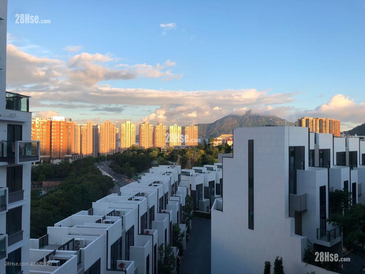 THE CARMEL 售盘 开放式间隔 , 1 浴室 368 平方尺