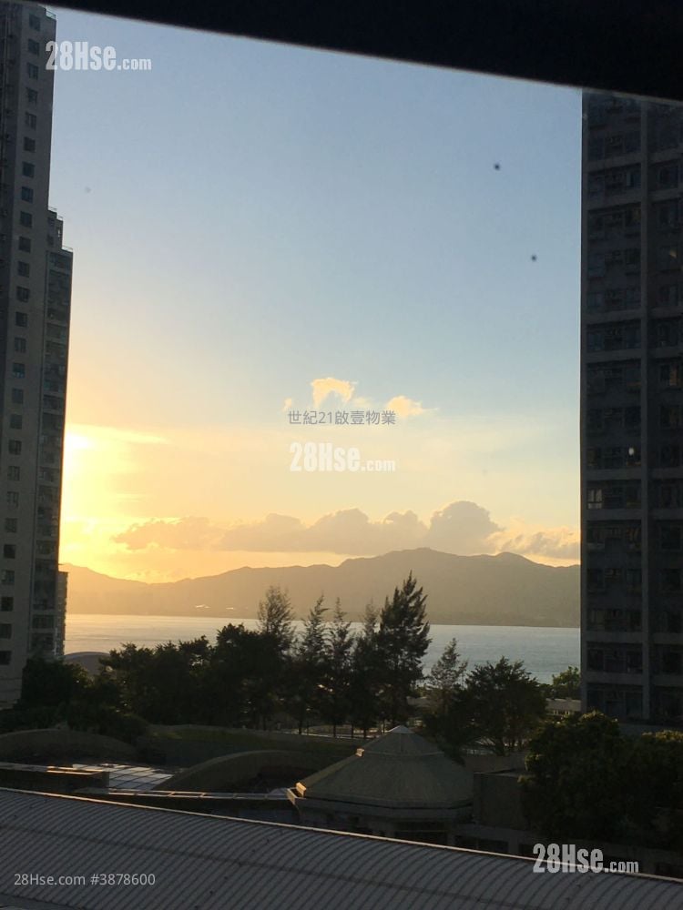 新港城 租盤 2 房 , 1 浴室 363 平方呎